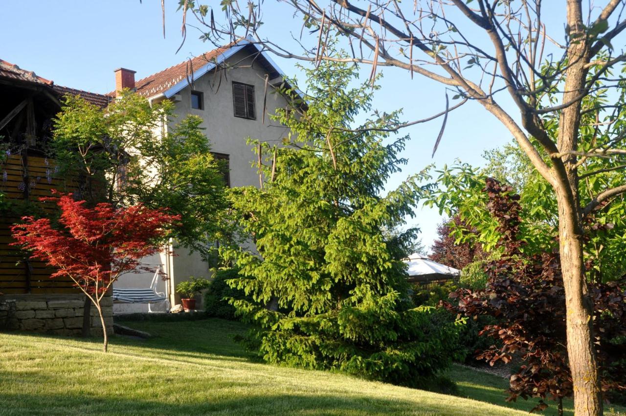Guesthouse Djuric 讷贡汀 外观 照片