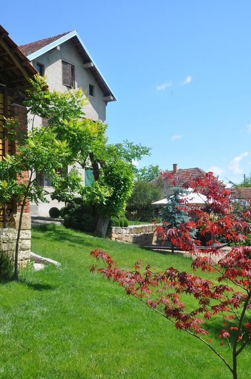 Guesthouse Djuric 讷贡汀 外观 照片