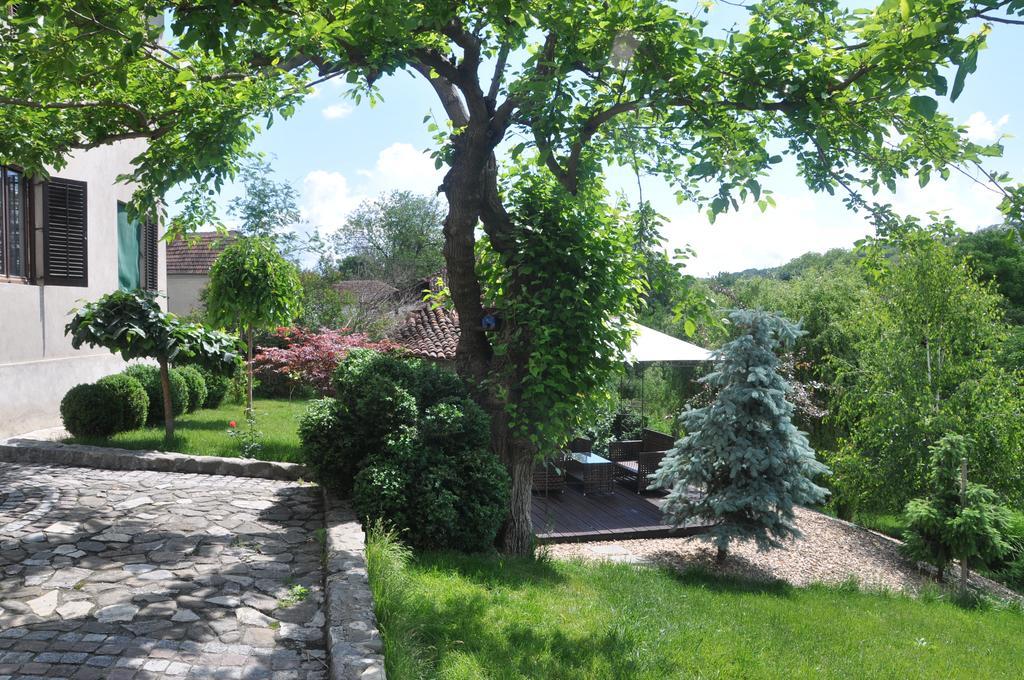 Guesthouse Djuric 讷贡汀 外观 照片