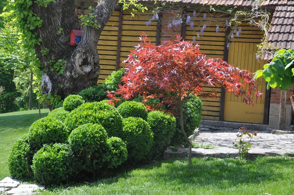 Guesthouse Djuric 讷贡汀 外观 照片